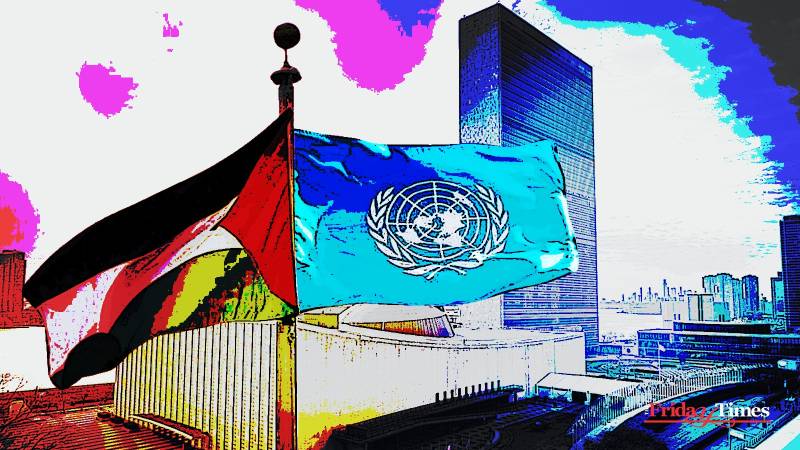 Why Can't The UN Help Palestine?