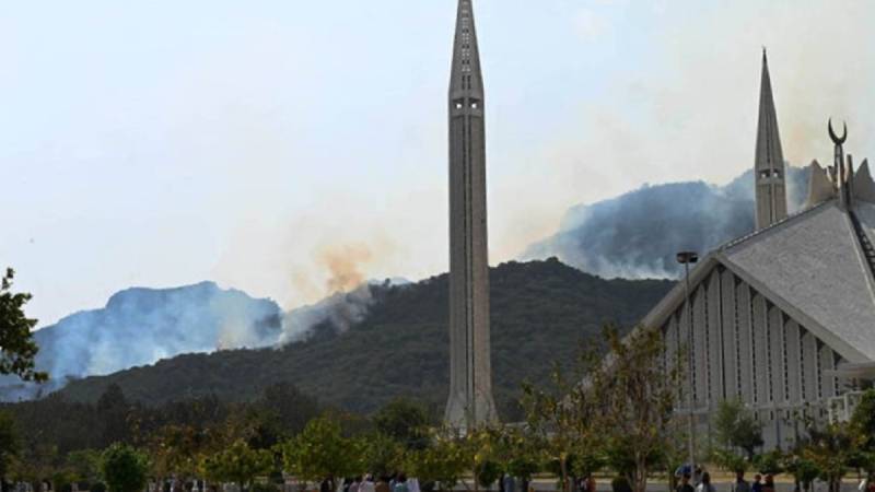 Forest Fires Ravage Margalla Hills Amid Heat Wave