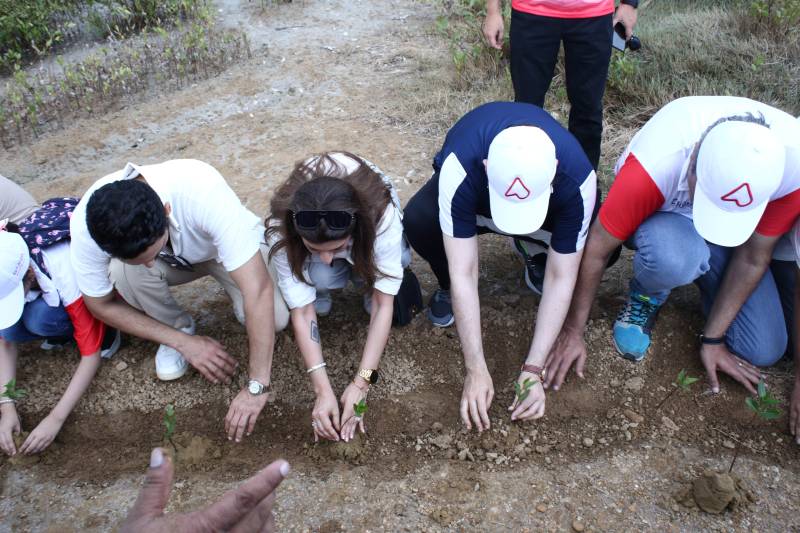 World Environment Day: Bank Alfalah, WWF-Pakistan To Plant 25,000 Mangroves in Balochistan