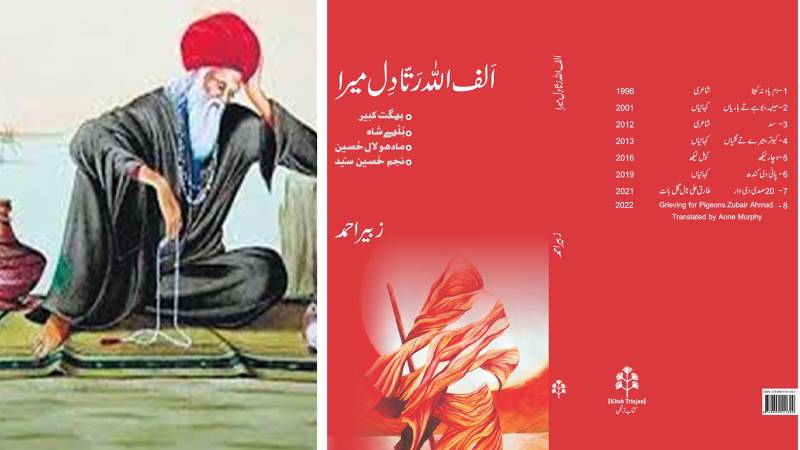 Of Punjabi Language, Literary Criticism And Folk Resistance - As Depicted By Zubair Ahmad