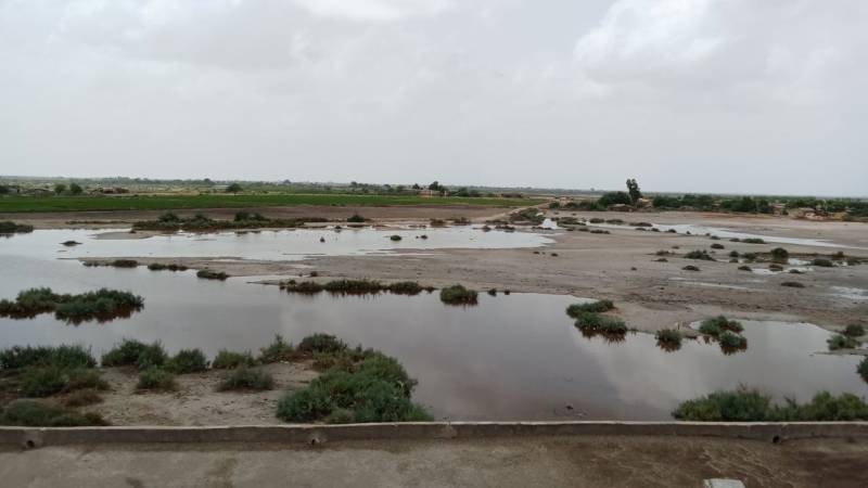 Rains Alleviate Climate Hardships For Parts Of Sindh