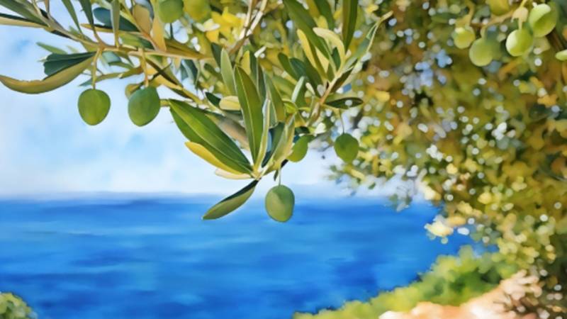 To Iznik, Land Of Pottery, Olives And Lemons