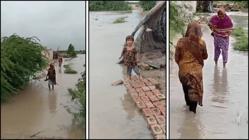 Amid Govt Apathy, Mirpurkhas' Flood Affectees Suffer Disaster Fatigue