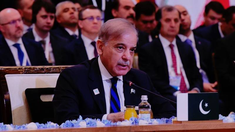 PM Shehbaz Calls For Unity, Stability At SCO Summit In Islamabad