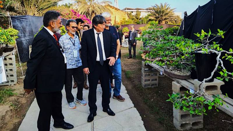 Half A Century Old Bonsai Trees Go On Display In Karachi