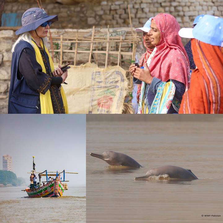 Bank Alfalah Commits Rs8.5 Million To Conserve Endangered Indus River Blind Dolphins