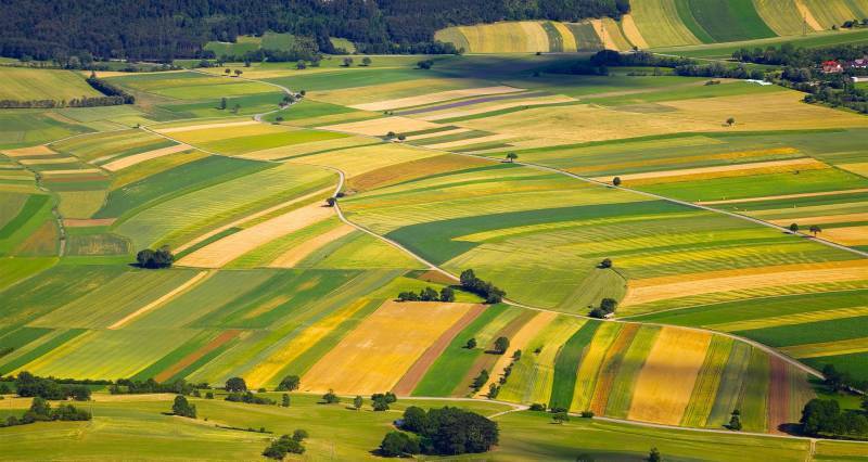 Building Climate-Resilient Agriculture In Pakistan: Key Insights From Breathe Pakistan 2025