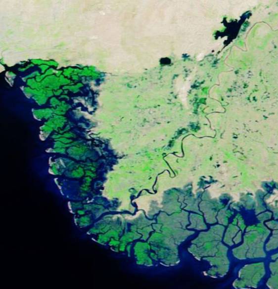 The Disappearing Delta: How The Indus Is Losing Its Future
