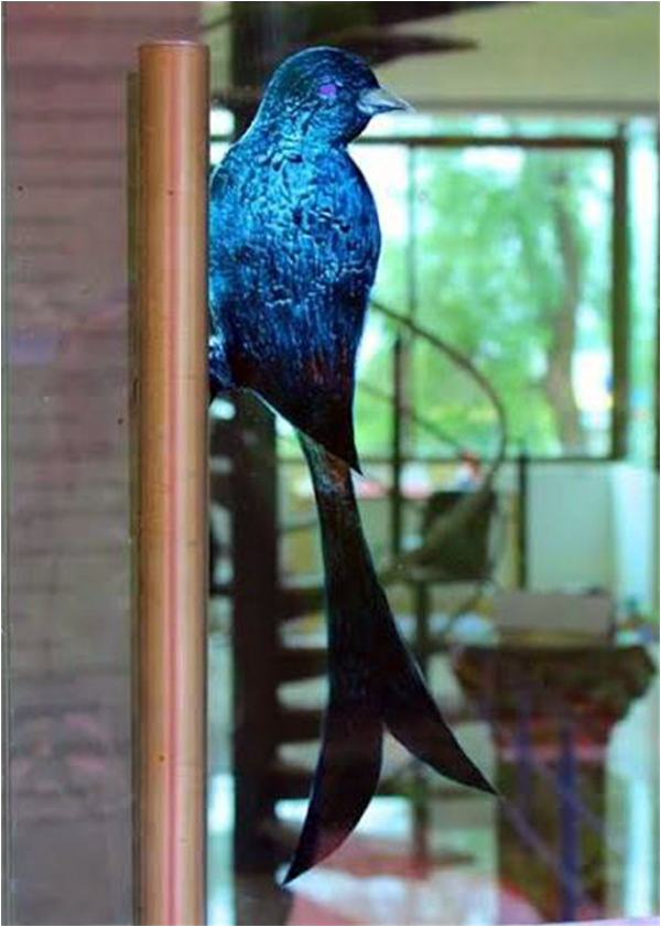 Usman Saeed's Blackdrongo welcomes visitors at the Museum