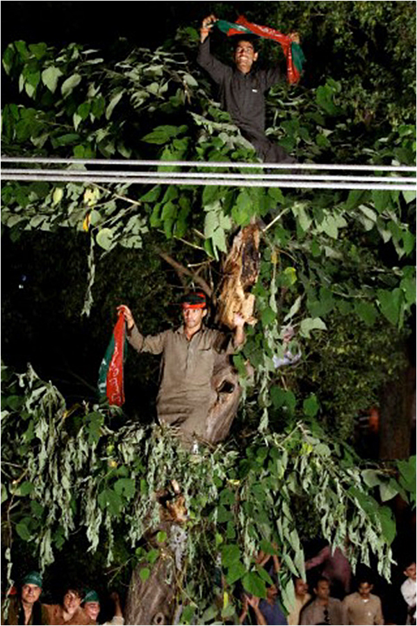 Supporters of Imran Khan listen to his speech while sitting on a tree