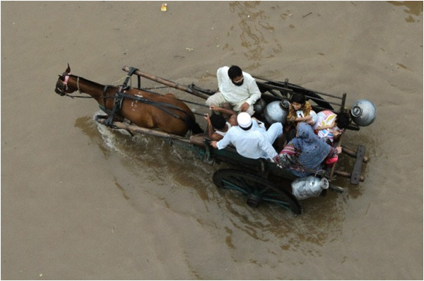 A family travels on a tonga in a flooded Lahore on September 4