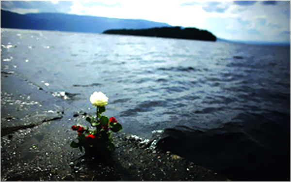A rose on the shore of Tyrifjorden lake, near Utoeya island, where anti-Islam extremist Anders Behring Breivik killed 68 people in a shooting rampage in July 2011