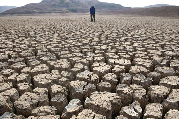 Food and water scarcity – a global issue 