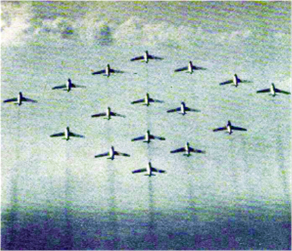 Falcons team aerobatic formation