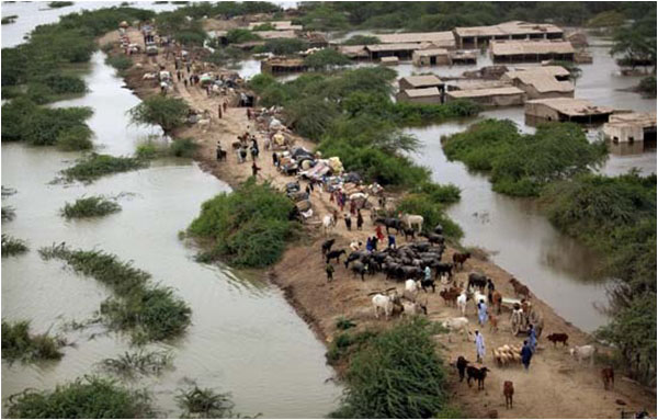 People taking shelter after the Indus River flood, August 2010