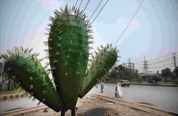 Cactus on GT road