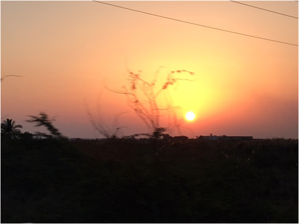 A Thar sunset