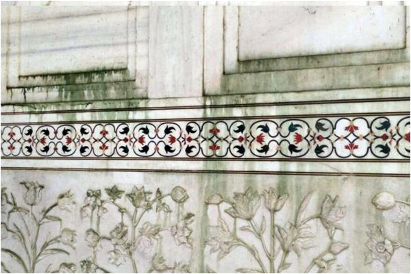The green excretions left by swarms of insects on the marble surfaces of the Taj Mahal