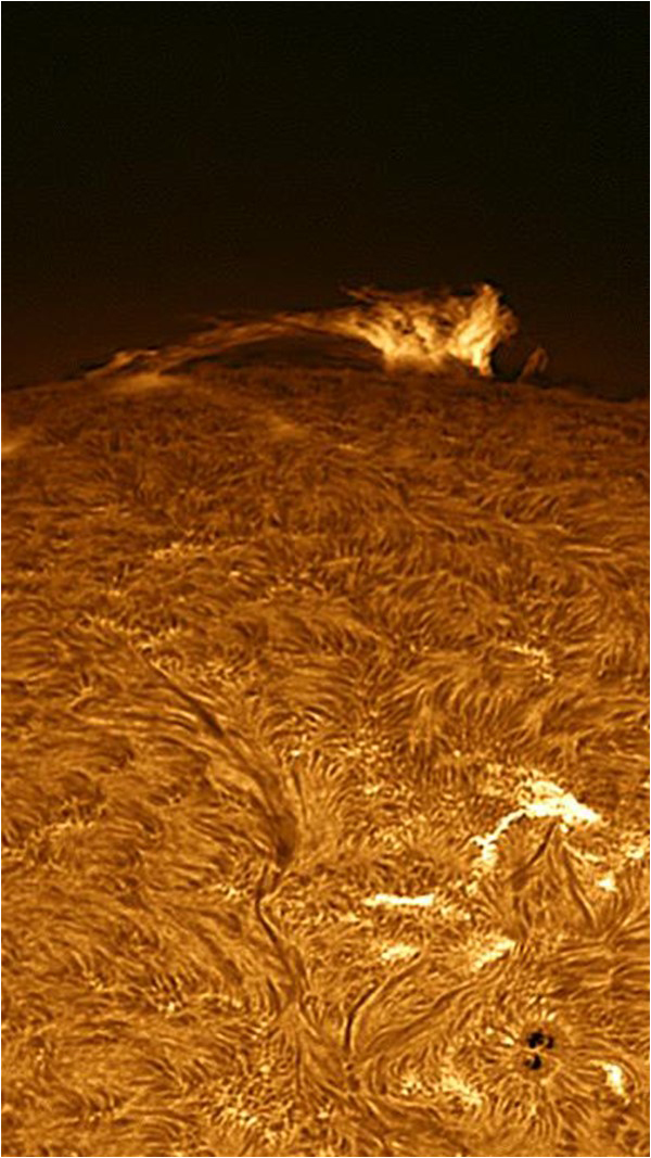 A beautiful image of activity on the surface of the Sun, taken by a Solar telescope at Zeds Astronomical Observatory in Lahore