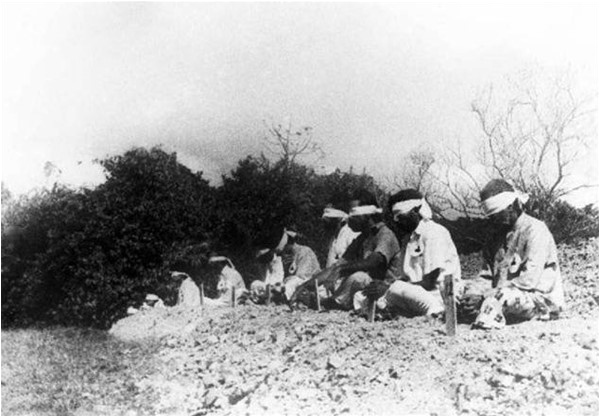 Cruel treatment as a prisoner of war from Japanese troops becomes a formative experience for the novella's protagonist. Pictured here - captured Indian troops used by Japanese infantry for target practice, World War II