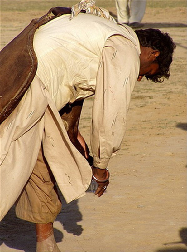 A mashki - water carrier with his water-skin