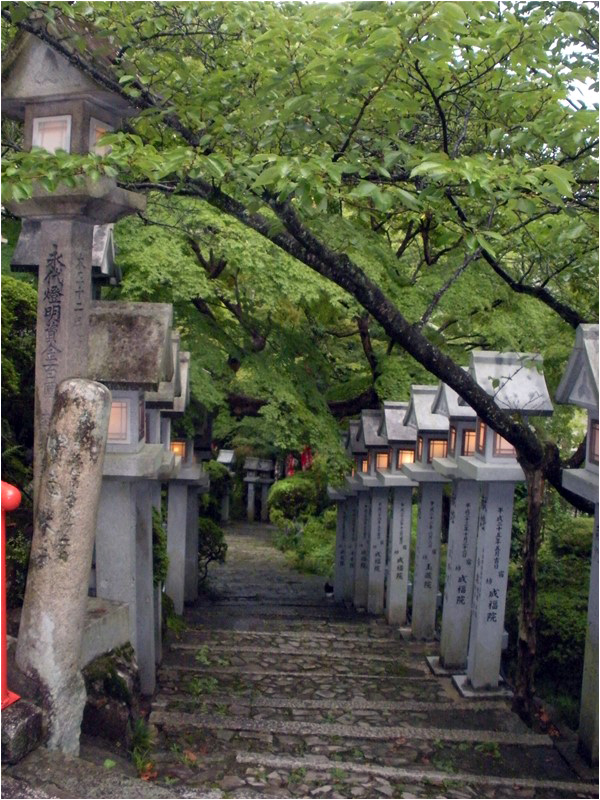 A walk down a path in the Chogosonshi-ji temple